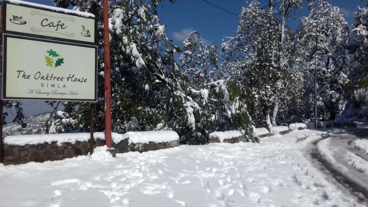Hotel The Oaktree House Shimla Exterior foto